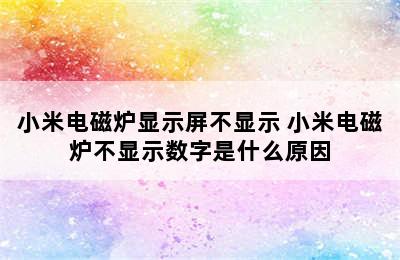 小米电磁炉显示屏不显示 小米电磁炉不显示数字是什么原因